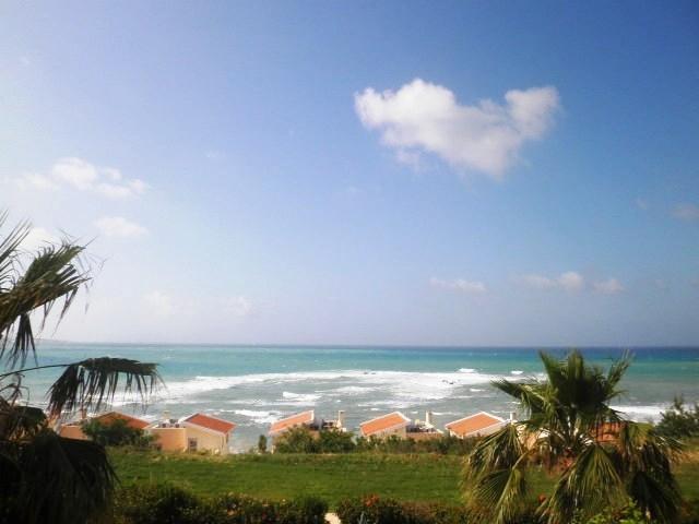 Happy Holiday Coral Bay Phòng bức ảnh